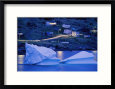 Small Icebergs Float Next to the Shore