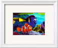 Searching for Nemo