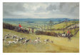 The Whaddon Chase