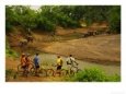 Guests on Mountain Biking Trip Watching Elephants, Mashatu Game Reserve, Botswana
