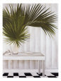 Coastal Living