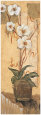 Orchid Impression I