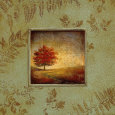 Meadow View