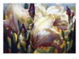 Iris Garden
