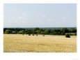 Site of Proposed Reservoir Near Abingdon, UK