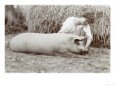 Young Peasant-Woman Kneeling Down Beside a Small Pig