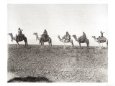 Egyptians on Camels in a Row