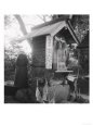 Izumo Countryside: Phallic Cult Near the Yaegaki Sanctuary