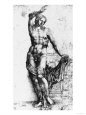 Hermaphroditic
