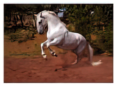 Horse
