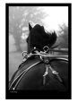 Cantering