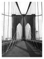 New York, Brooklyn Bridge Cable