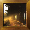 Evening Glory Scenic Streets & Roadways