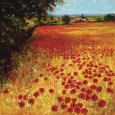Field of Red and Gold