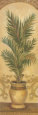 Tuscan Palm I