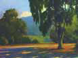Eucalyptus Sunset