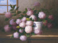 Hydrangea Blossoms l
