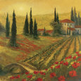 Poppies of Toscano I