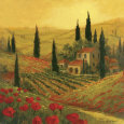 Poppies of Toscano II