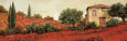 l Papaveri Sulle Colline