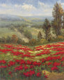 Poppy Vista II
