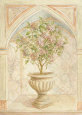 Hydrangea Niche