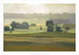Morning Haze