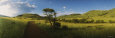 Dirt Road Running through a Landscape, South Africa
