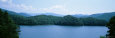 Trees Surrounding a Lake, Fontana Lake, North Carolina, USA