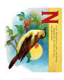 Nightingale