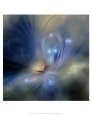 Butterfly Nebula