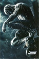 Spider-Man 3 Movies Directors
