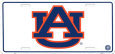 Auburn University